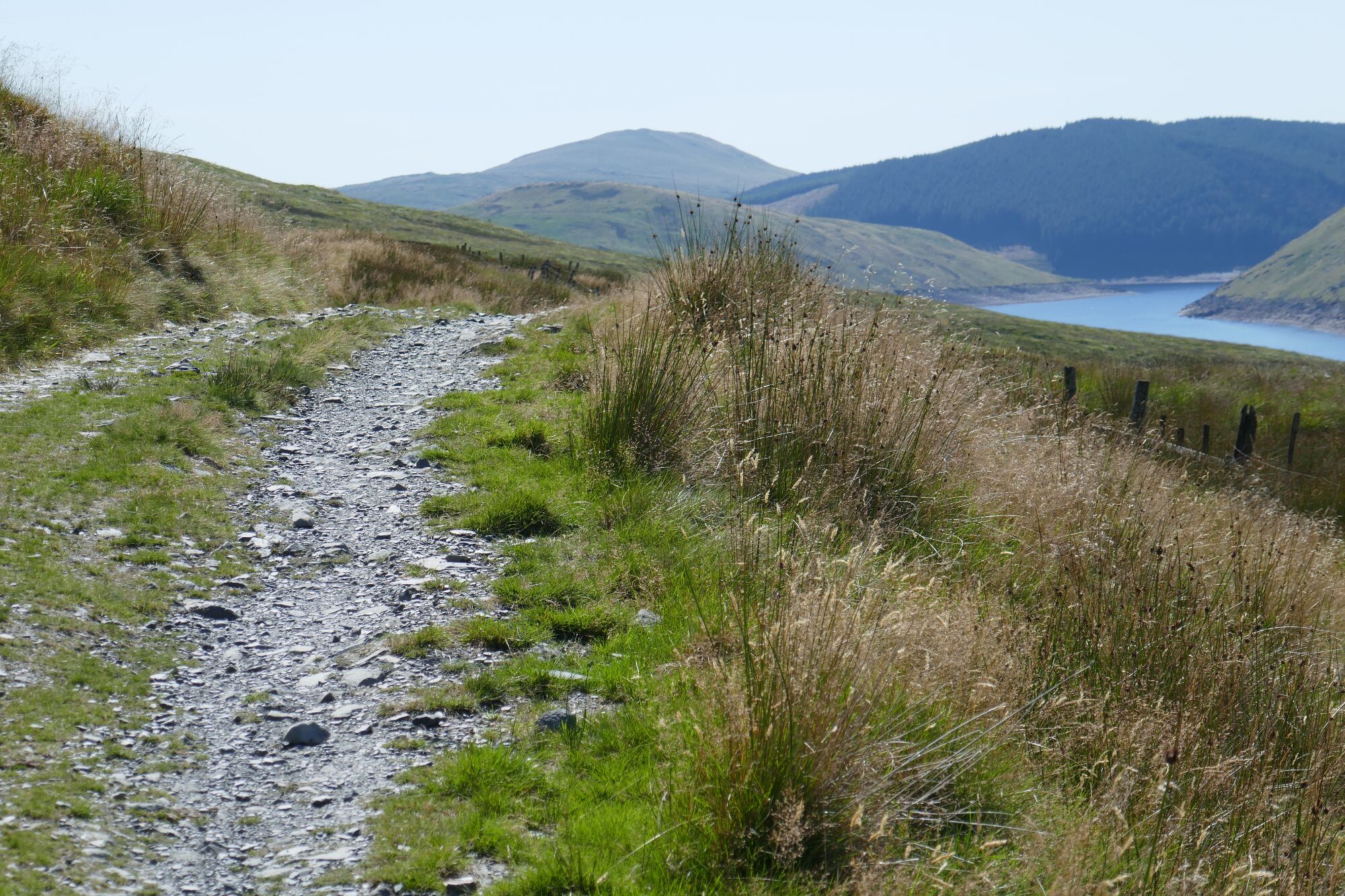 RachelSeabrook.net | Wild Walking | Cwm Hengwm | pic37A